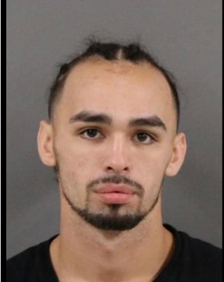 Sterling man sentenced to 4 years in prison for aggravated battery of a child — Shaw Local News Network